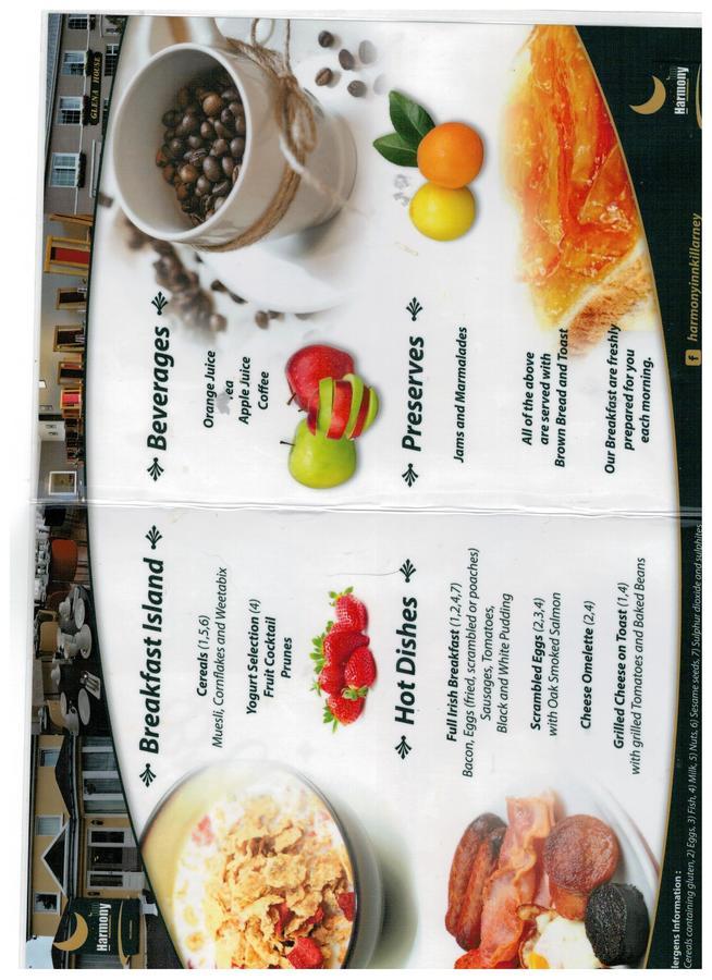 Harmony Inn - Glena House Killarney Luaran gambar